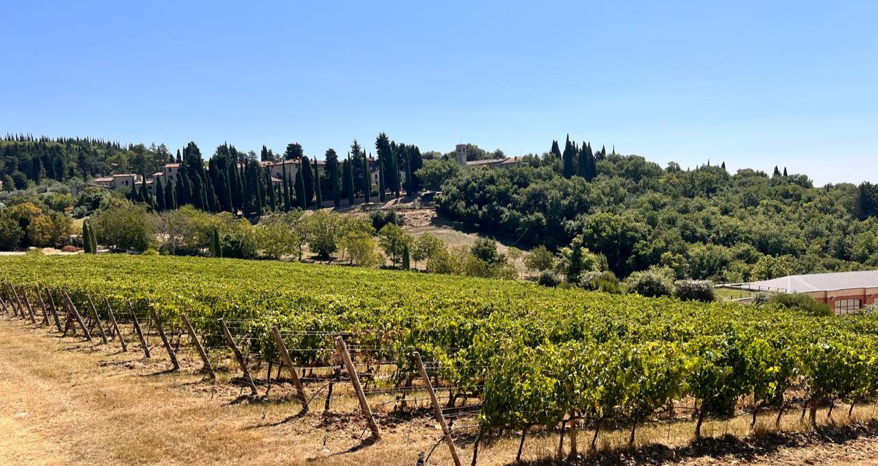 vinho chianti classico (2)