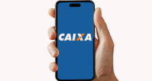 Bet da Caixa será lançada em novembro e deve arrecadar até R$ 2,5 bilhões (Montagem: Money Times)