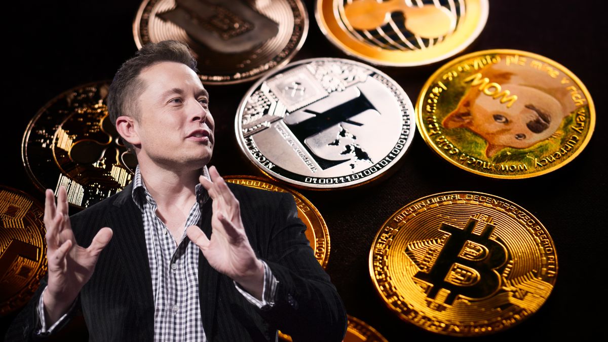 Memecoin ‘queridinha’ de Musk entrega 1.928% em 4 anos – vale a pena investir?