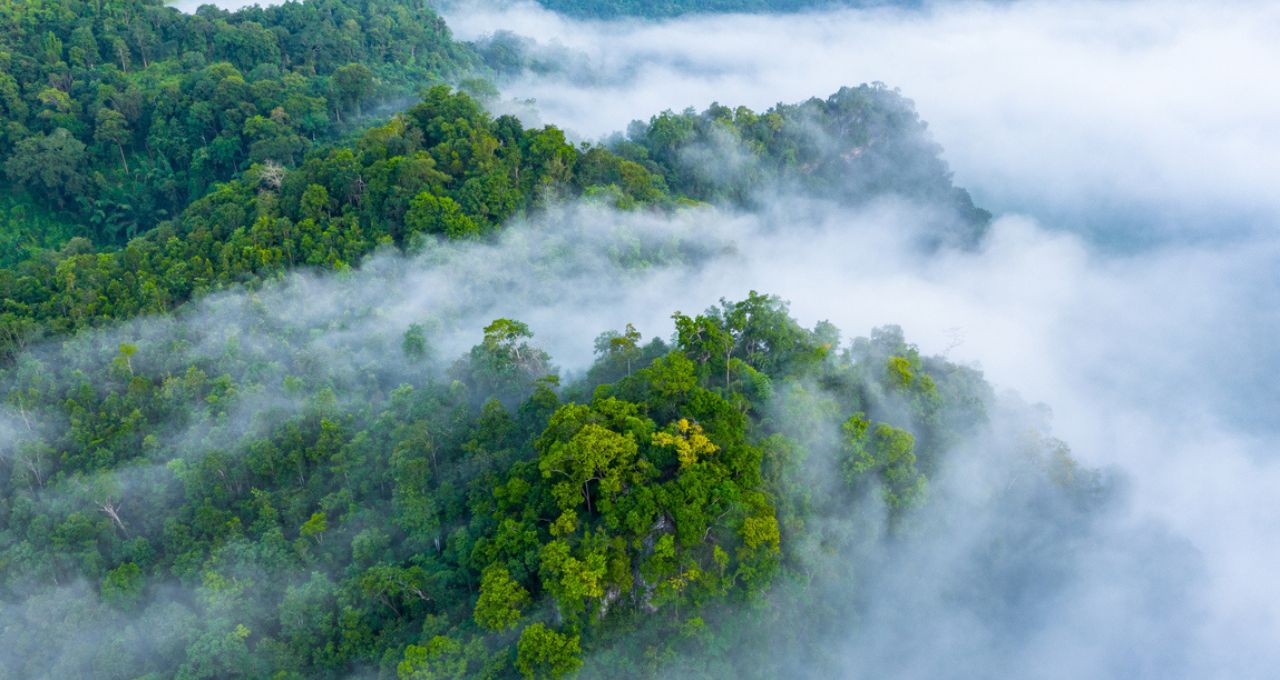 Plano clima agro cop30 meio ambiente