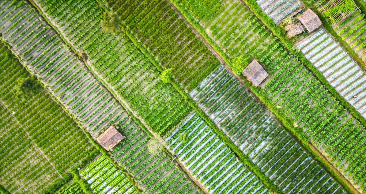 la niña clima chuvas (1)