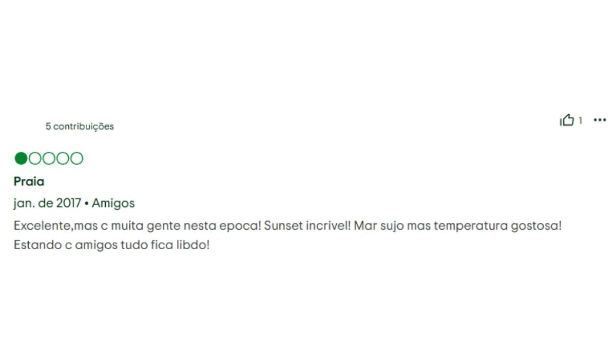 Reclamação sobre a praia de Ipanema - Reprodução TripAdvisor