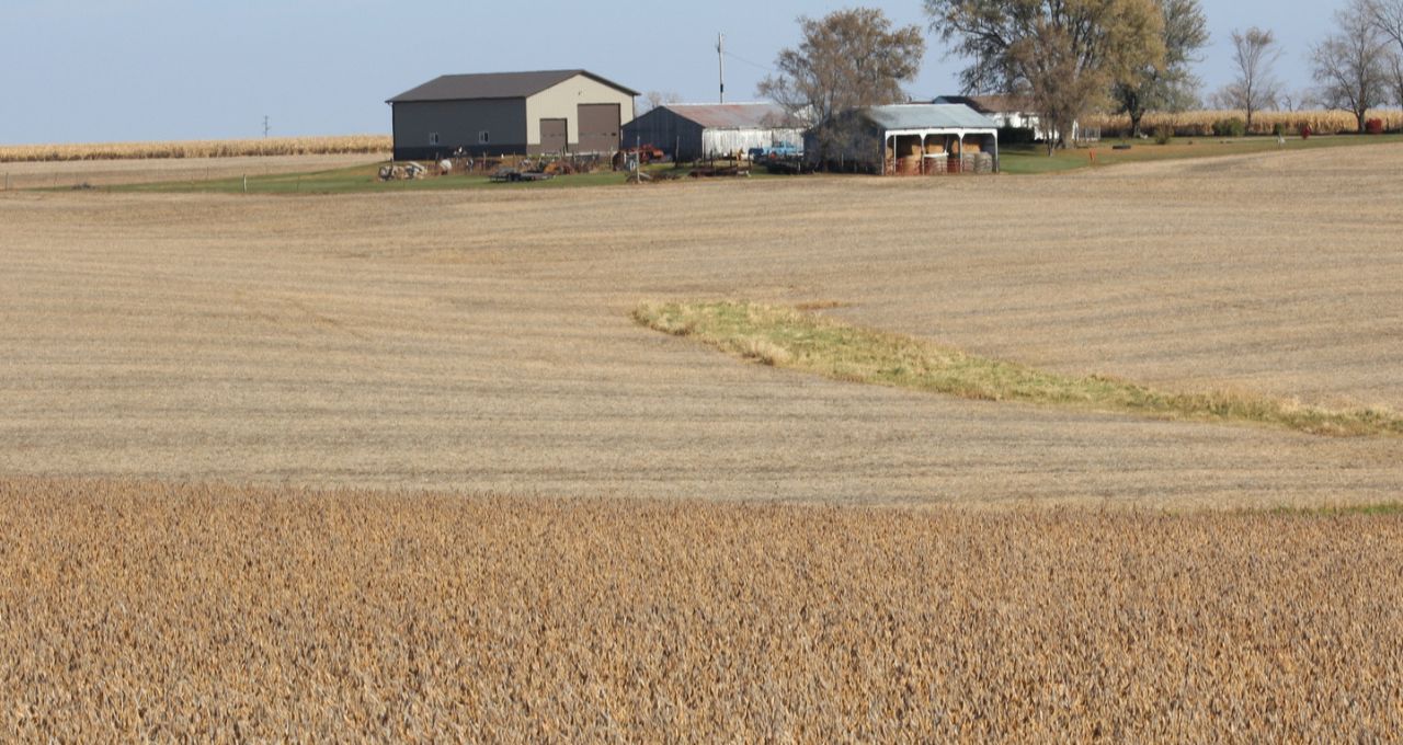agricultores eua acordo china trump