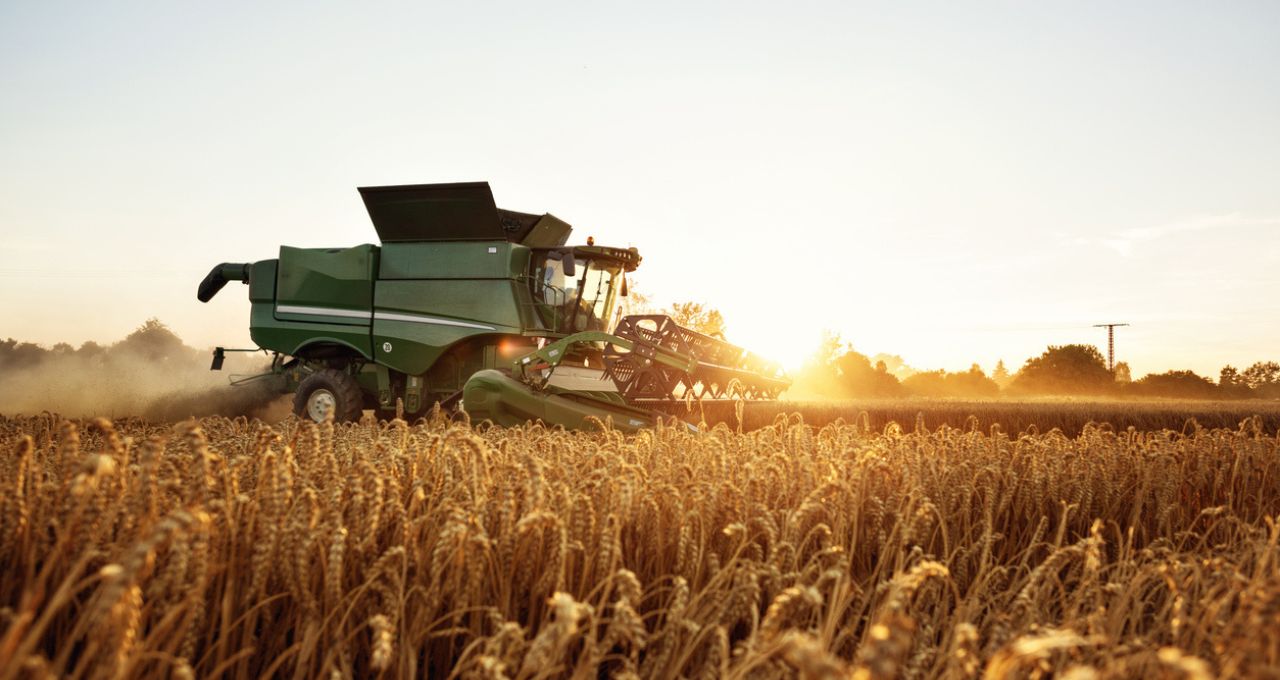 agronegócio agrícolas ações empresas tten3 soja3 agro3 slce3