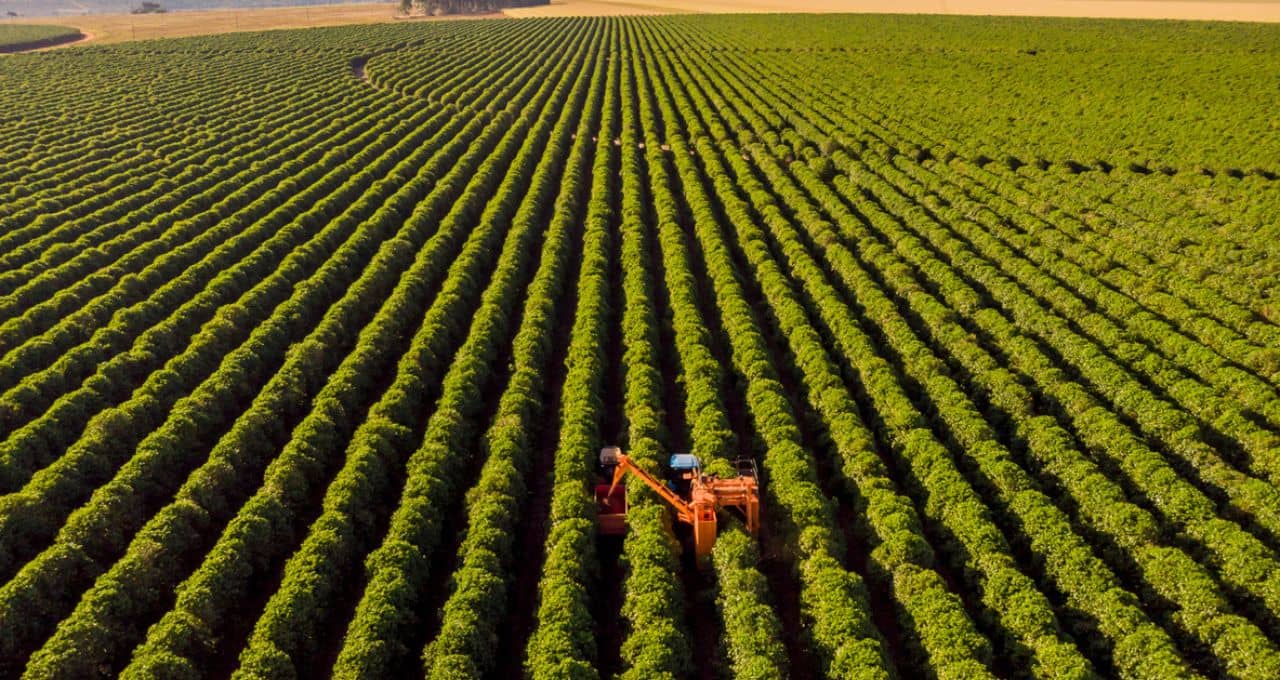 agronegócio mercado de capitais (1)