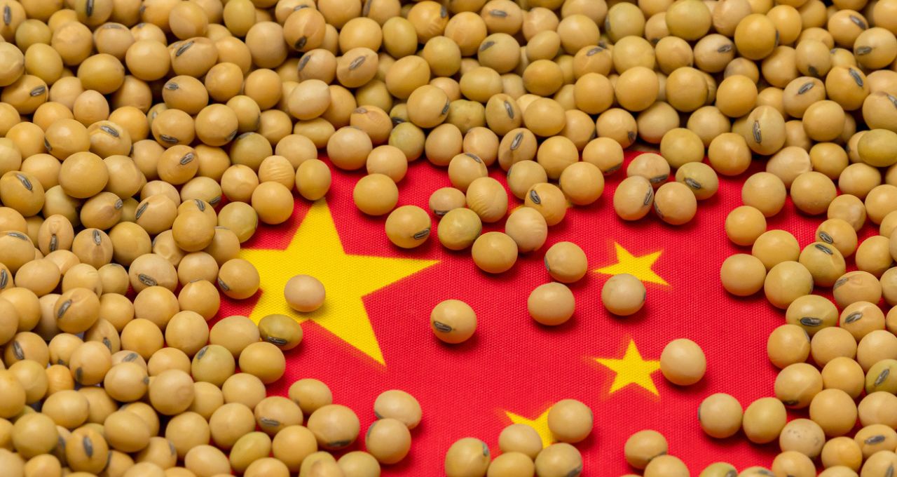 China soja