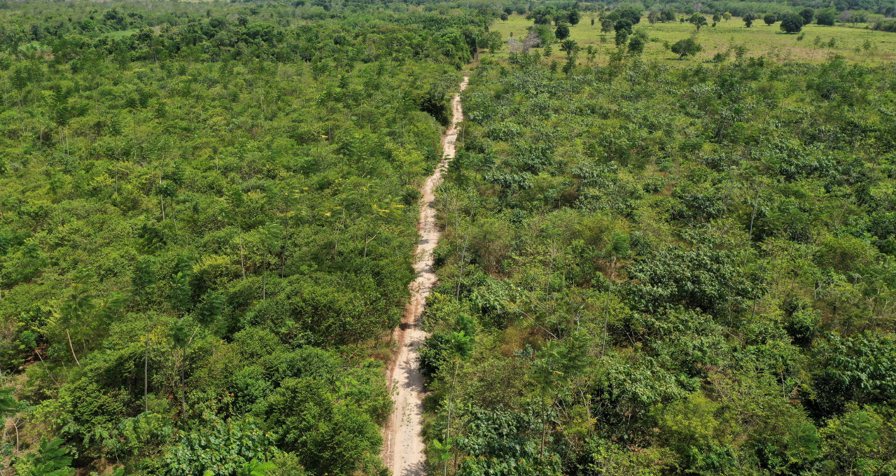 flexibilização ambiental congresso