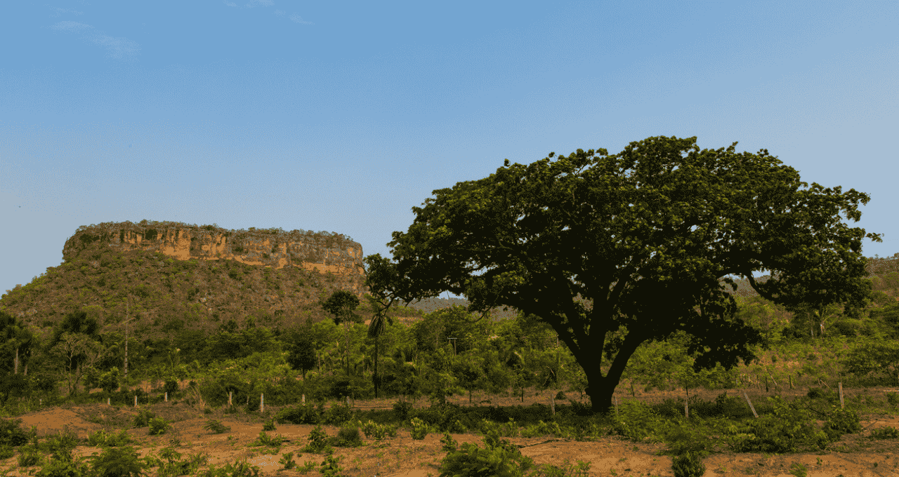 Fundo imobiliário fazenda (1)