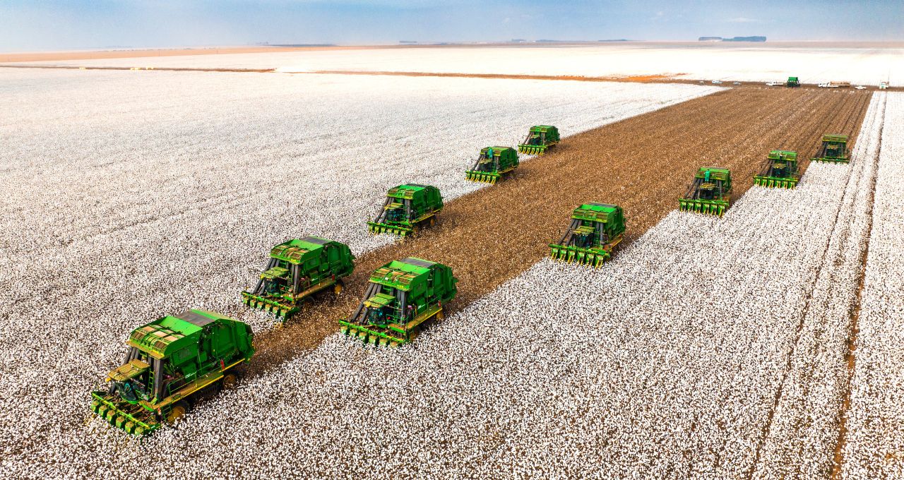 slc-agricola-acoes-resultados-btg