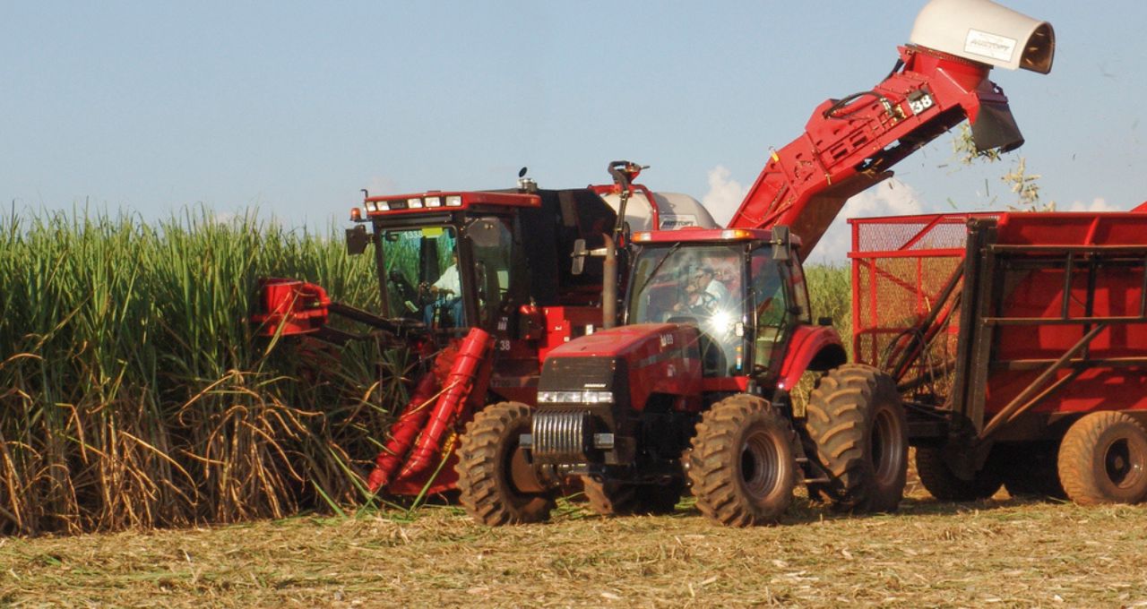 agronegócio são paulo