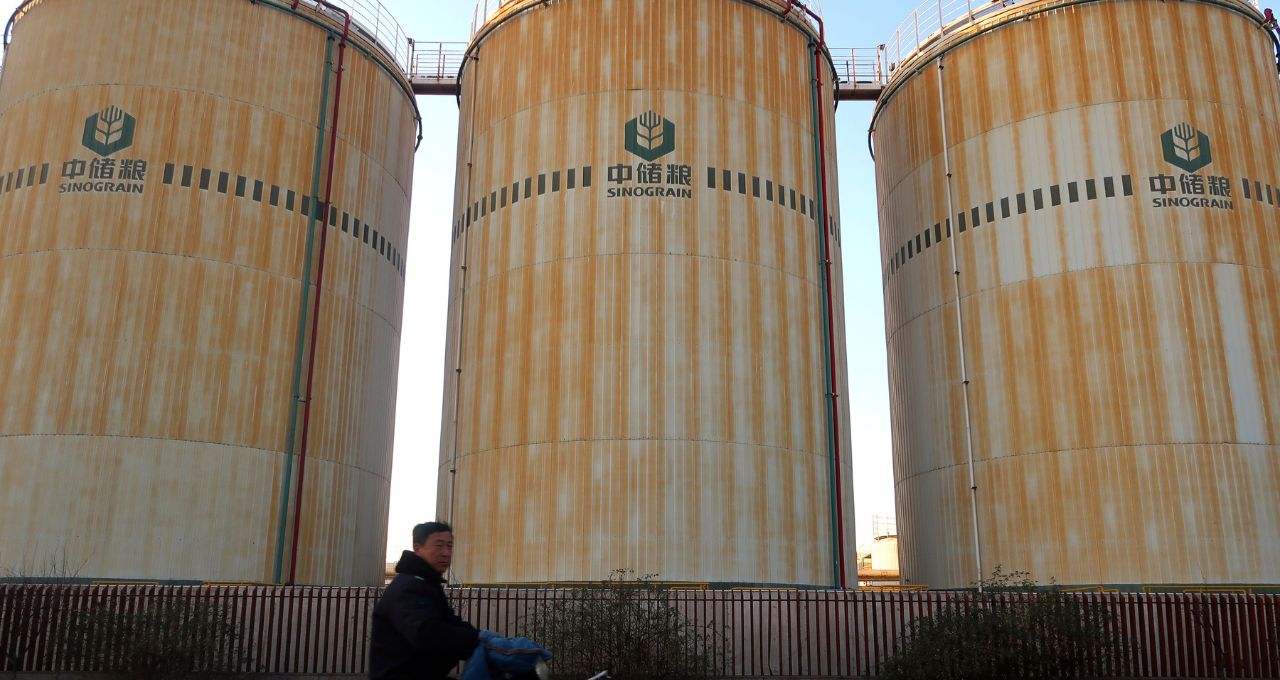 china soja sinograin