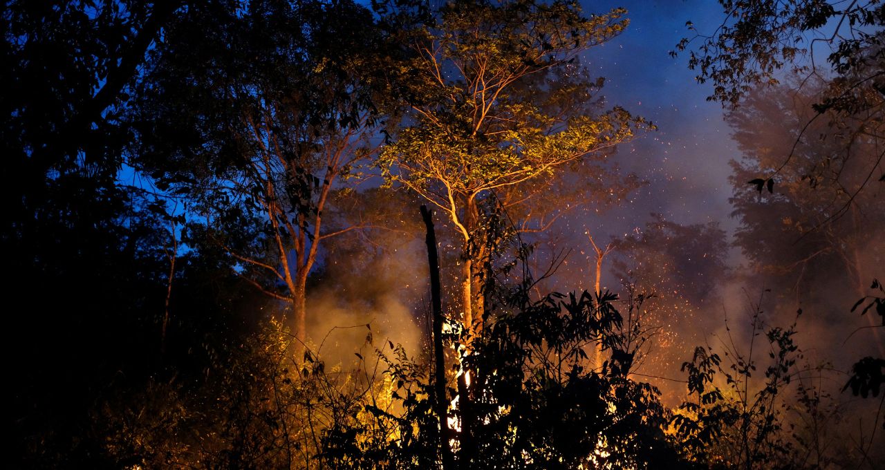 moratória da soja tradings