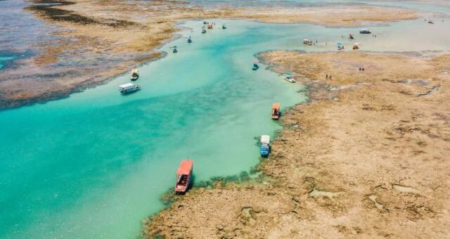 Praia do Patacho, Alagoas - Reprodução