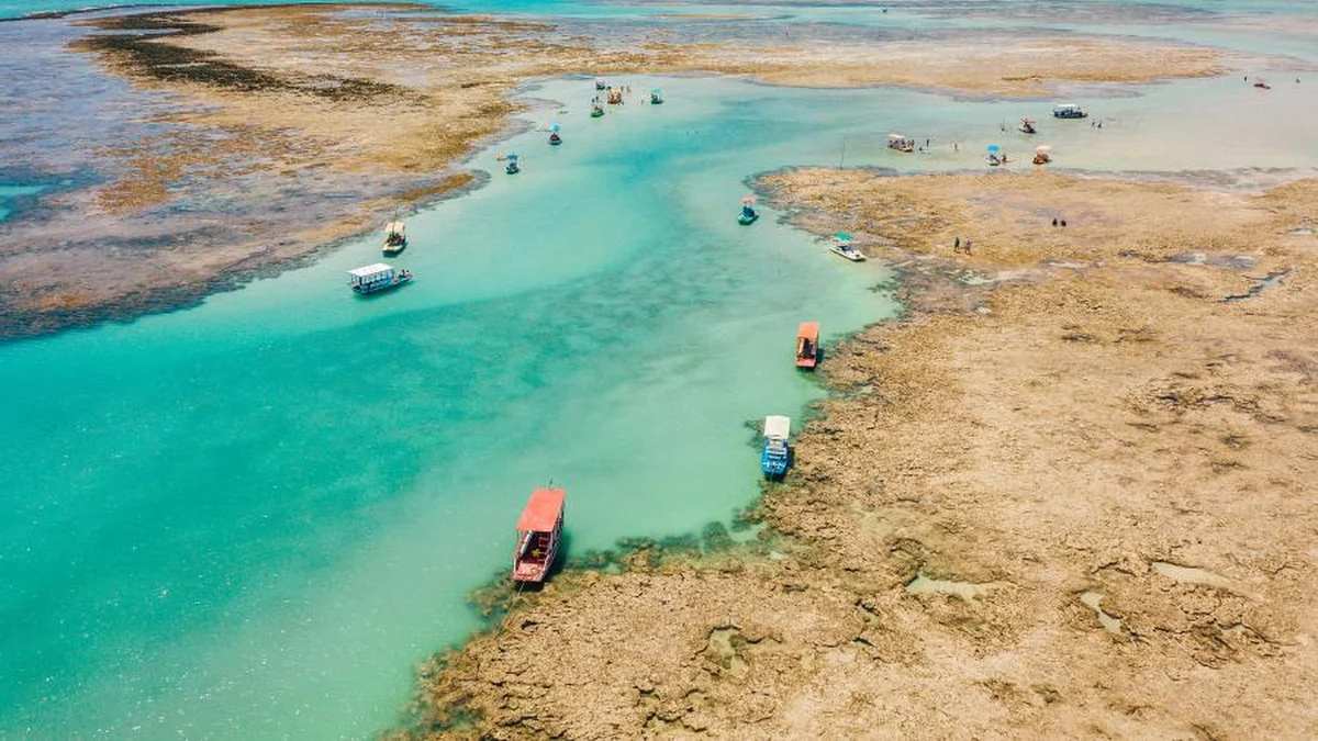 Praia do Patacho, Alagoas - Reprodução