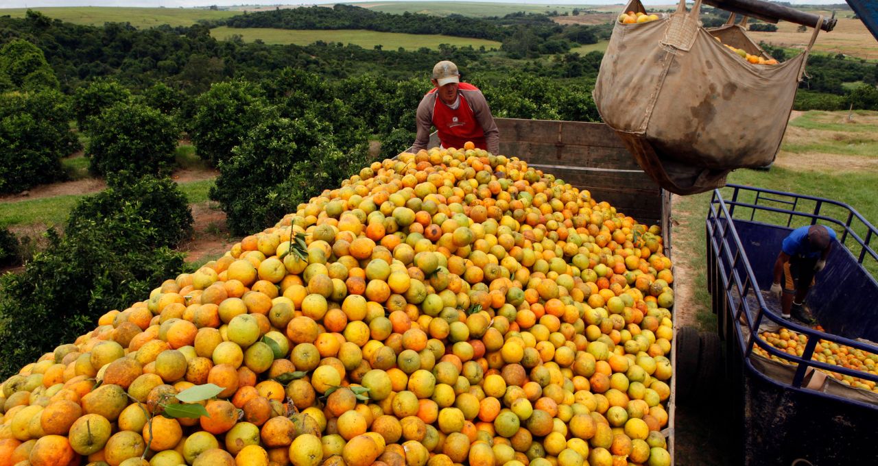 suco de laranja citrosuco canadá