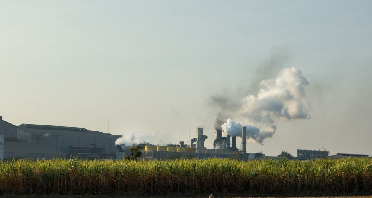 usinas etanol açúcar citi