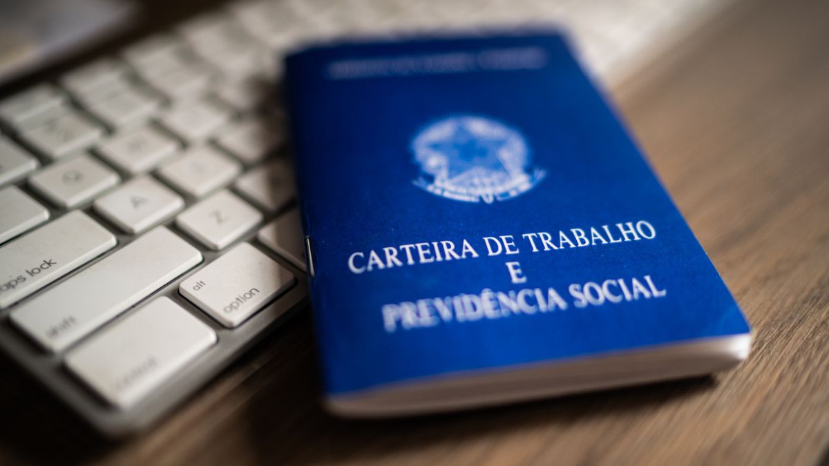 carteira de trabalho clt mt