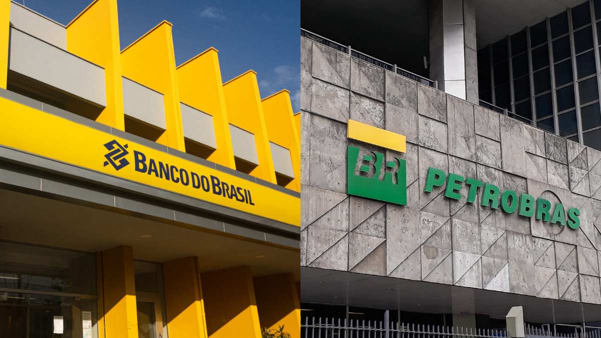 Concurso público Petrobras e Banco do Brasil - Montagem