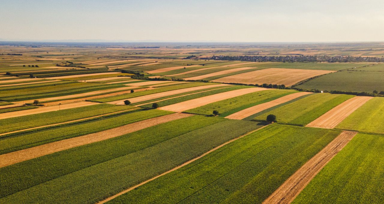 mercosul-união europeia agronegócio