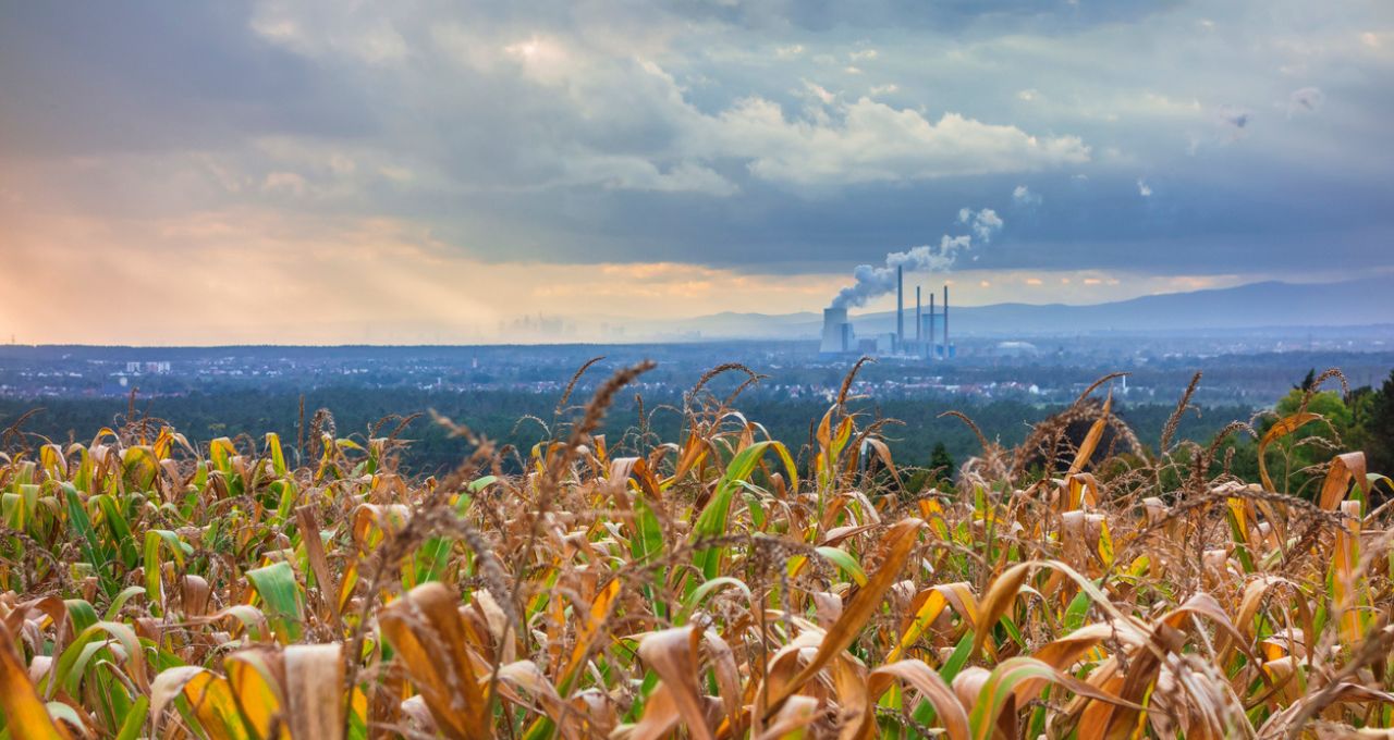 milho etanol cana-de-açúcar