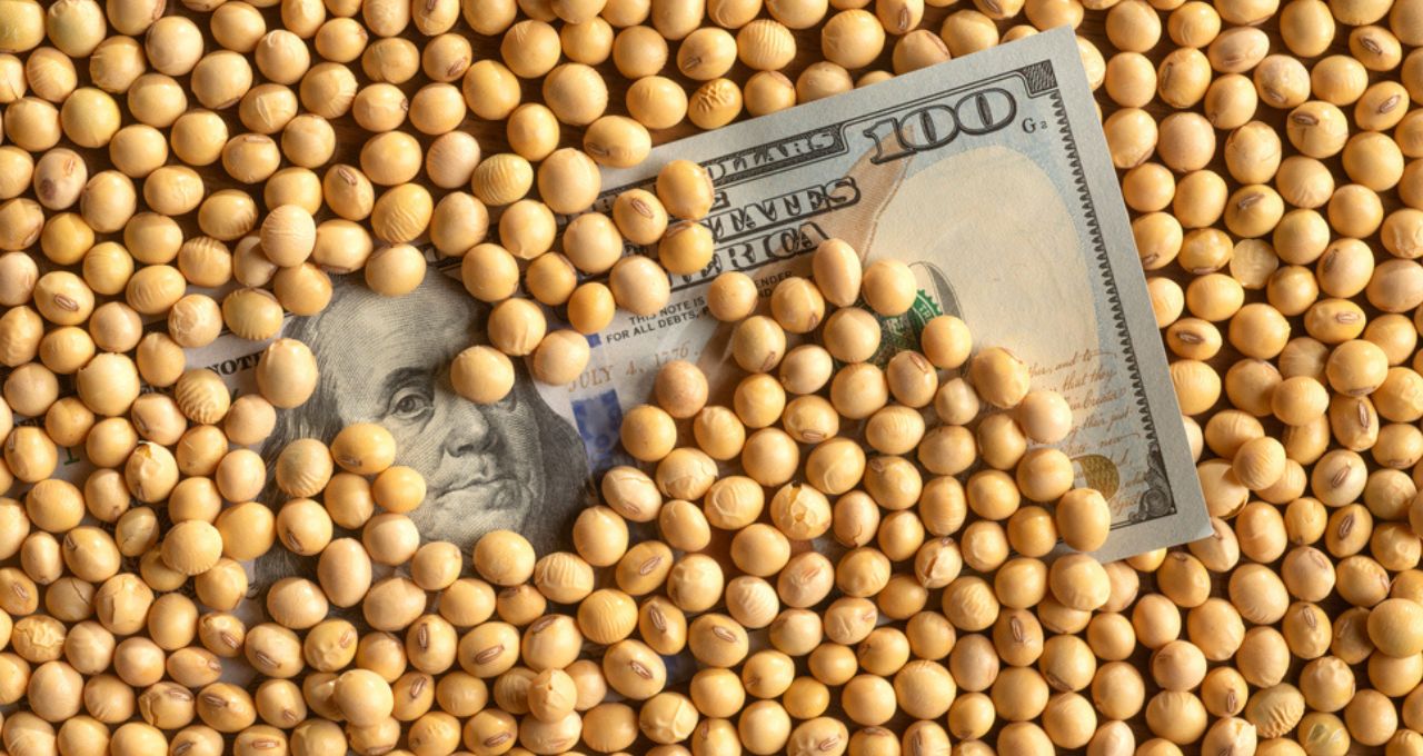 agronegócio colheita da soja