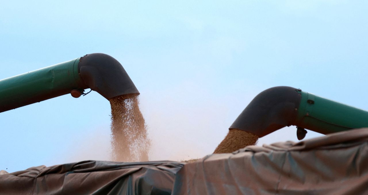 biocombustíveis eua