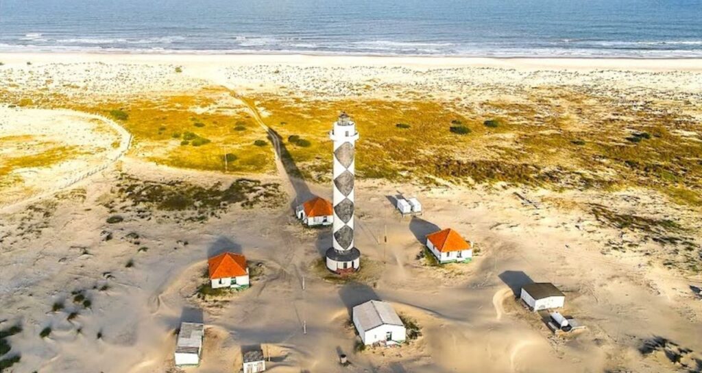 Foto: NEMA / divulgação