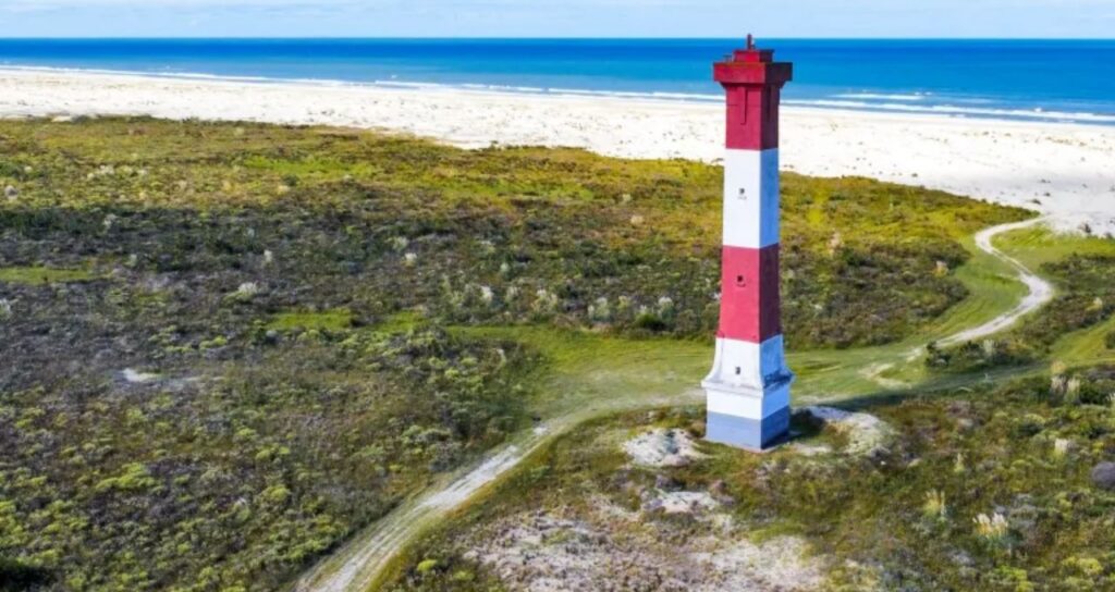 (Imagem: Reprodução)