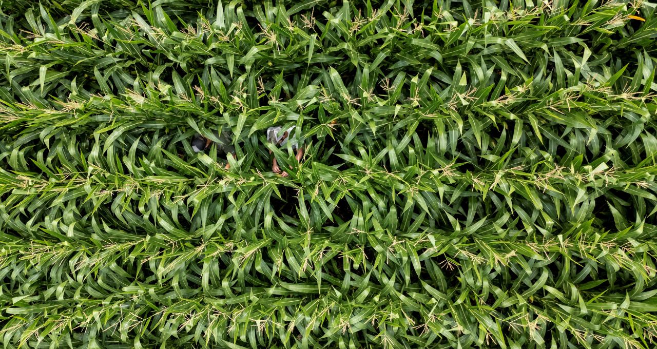 França apoia agricultores diante de aumento dos custos com combustíveis e fertilizantes