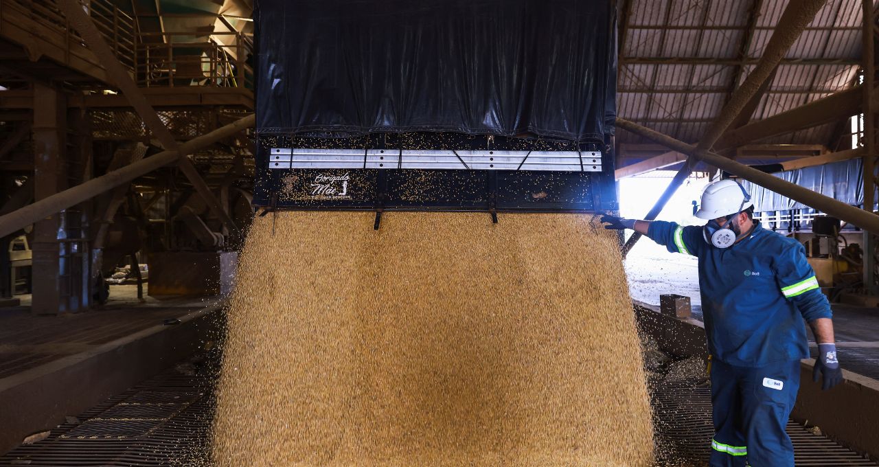 grupo potencial biocombustíveis petróleo