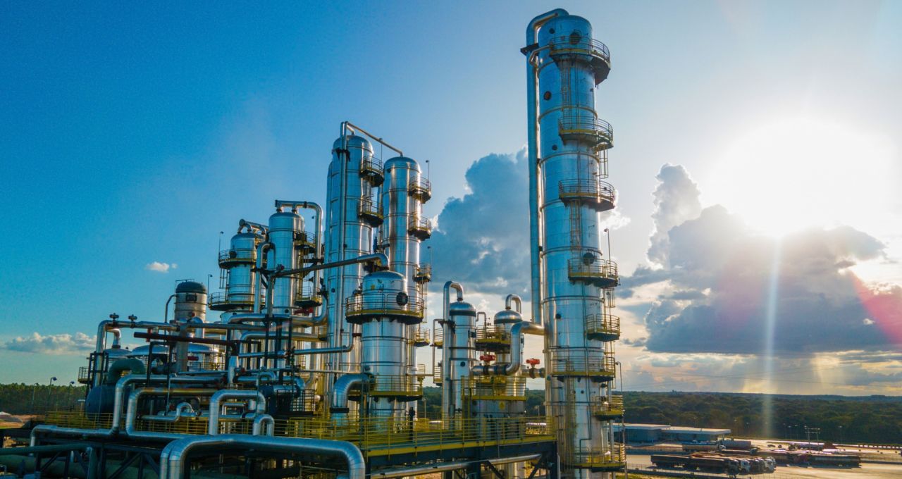 inpasa etanol de milho ddgs