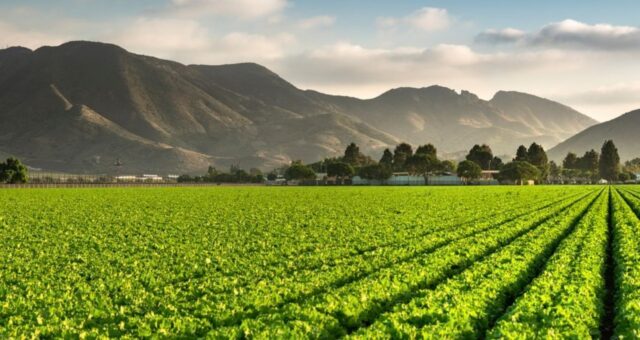 licenciamento ambiental agronegócio