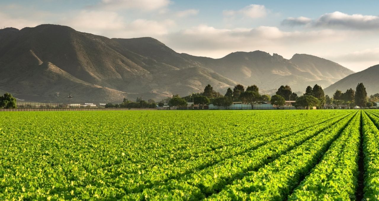 licenciamento ambiental agronegócio