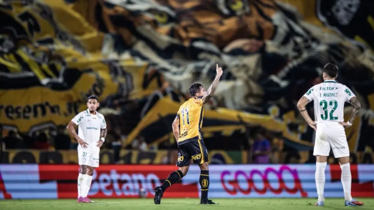 Novorizontino marca goleada histórica sobre o Palmeiras no Jorjão e assume a vice-liderança do Paulistão (2)