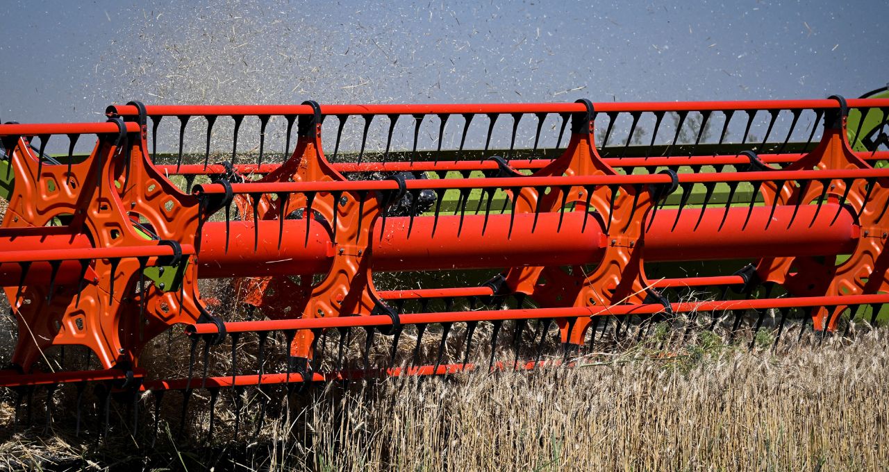 fertilizantes argentina trigo