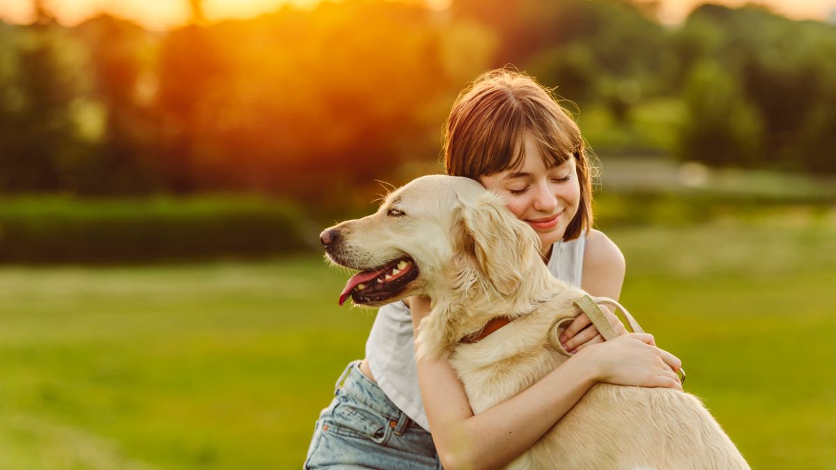 pets bichos de estimação animais podem ser enterrados com donos tutores