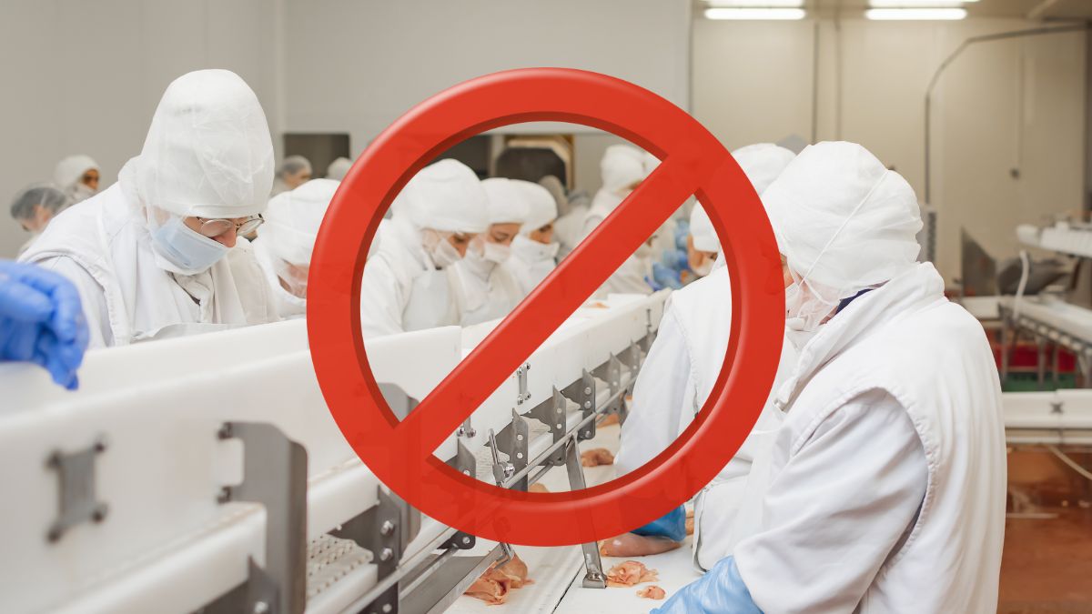 justiça proibe produção