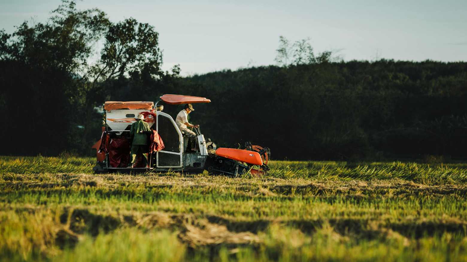 AgroForum Cuiabá reúne investidores do agro em evento online e gratuito promovido pelo
