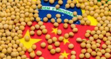 china soja brasil carne