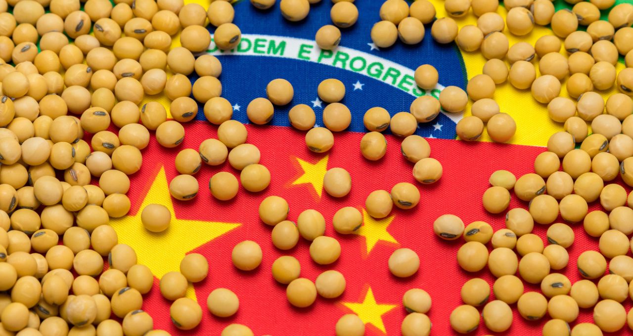 china soja brasil carne