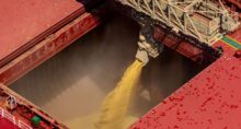 fertilizantes agricultores