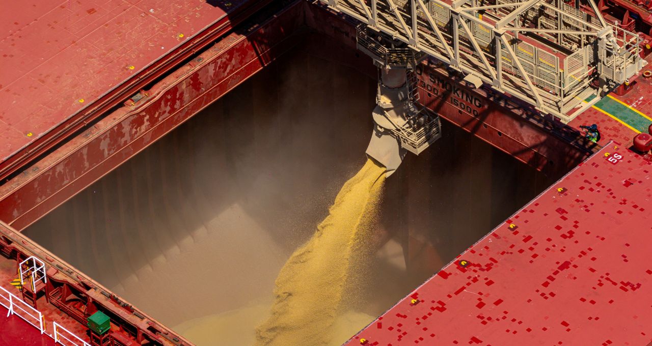 fertilizantes agricultores