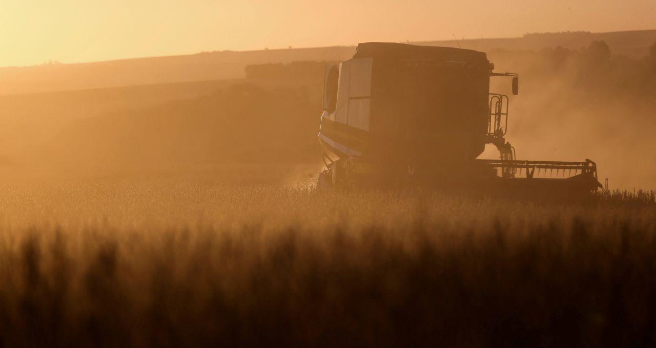 Leilões de propriedades rurais no Brasil disparam com avanço da dívida rural – Money Times