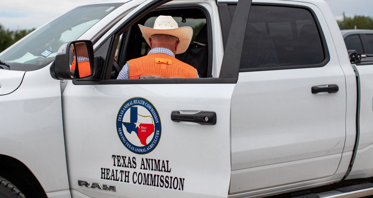 parasita texas pecuaristas
