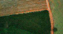 plano safra agronegócio (1)