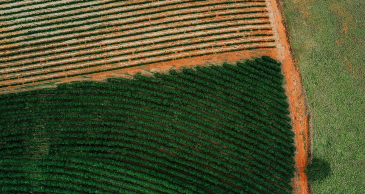 plano safra agronegócio (1)
