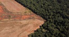 Floresta na fronteira entre a Amazônia e o Cerrado, em Nova Xavantina, no Mato Grosso, Brasil, em 28 de julho de 2021.