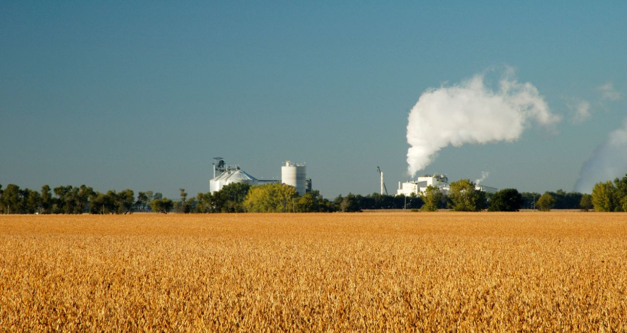 ‘Mercado climático’ domina formação de preços da soja e milho, enquanto petróleo perde força