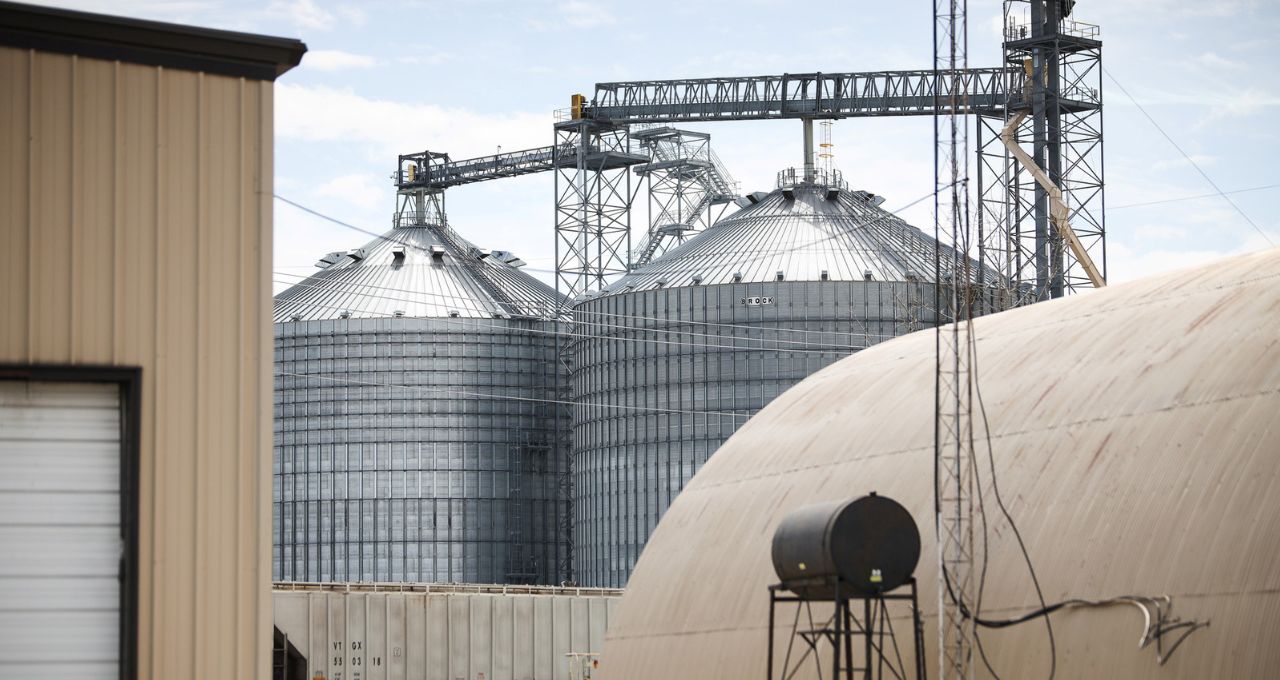 acelen renováveis bunge