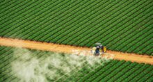 fertilizantes ormuz
